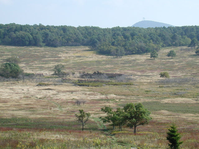 Big Meadows, Shenandoah National Park