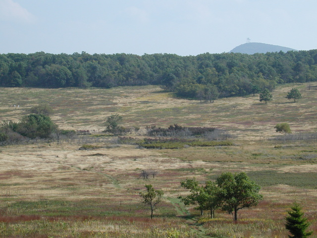 Big Meadows, Shenandoah National Park