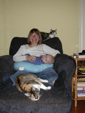cat-baby-woman-cat toboggan