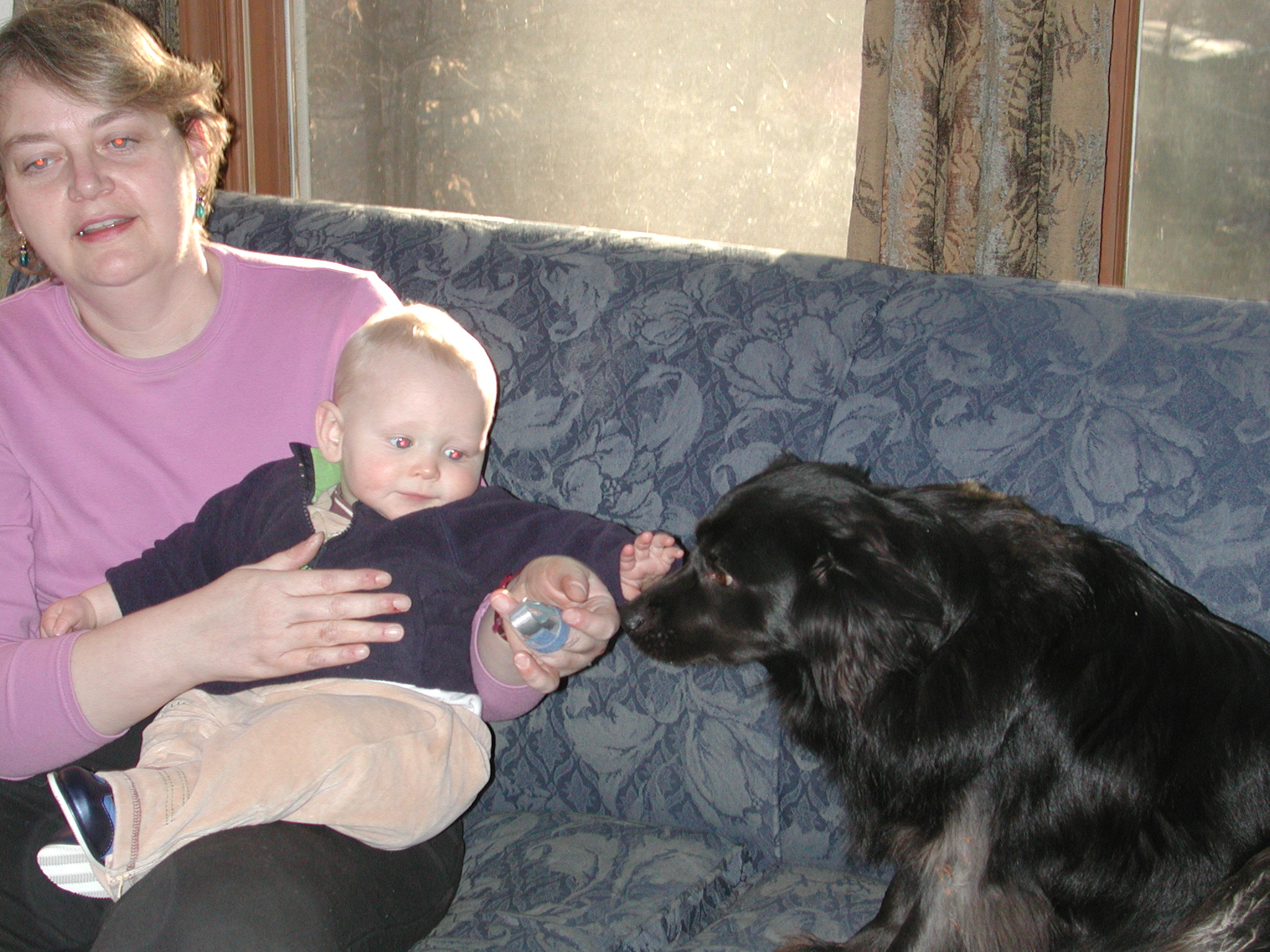 2005-02-19.11.jpg